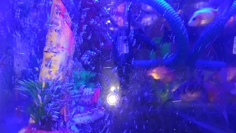 Water bubbles in blue light Video stock 217442717