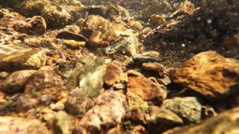 Water bubbles at the bottom of a clear mountain river Stock Footage 319809632