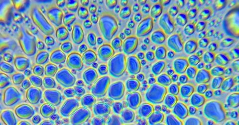 Water bubbles bursting under microscope, abstract macro liquid texture 스톡 동영상 328836212