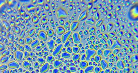 Water bubbles bursting under microscope, abstract macro liquid texture Video stock 330480751