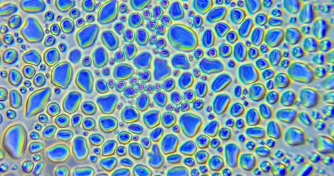 Water bubbles bursting under microscope, abstract macro liquid texture Video stock 332654964