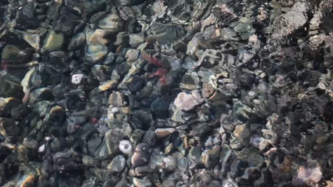 Water bubbles in clear ocean water above the pebble Stock Footage 128736097