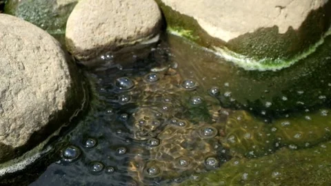 Water bubbles from a clear river spring Stock Footage 292668142