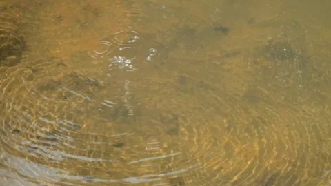Water bubbles from a clear river spring Stock Footage 292668162