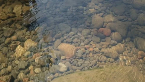 Water bubbles from a clear river spring Vídeo Stock 292668556