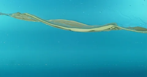 Water bubbles close up shot Stock Footage 115091383