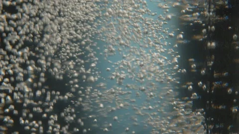 Water Bubbles filled carbon dioxide and float upwards. Stock Footage 171641566