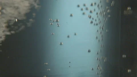 Water Bubbles filled carbon dioxide and float upwards. Stock Footage 171642548