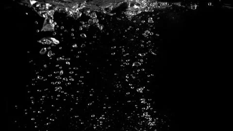 Water bubbles floating on black background Stock Photos