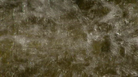 Water bubbles Stock Footage 473805