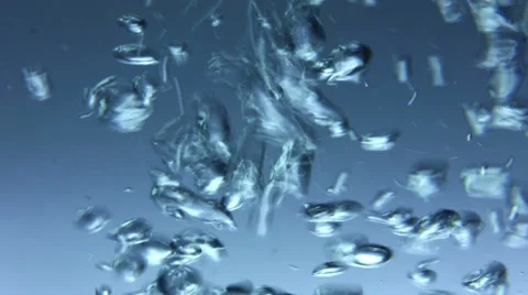 Water Bubbles Stock Footage 33625477