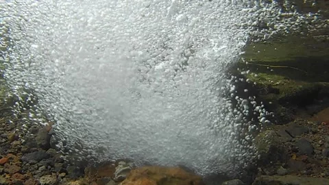 Water bubbles Stock Footage 172091496