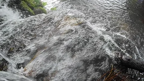 Water bubbles Stock Footage 172091512