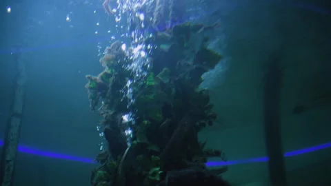 Water bubbles. Видео 254582198