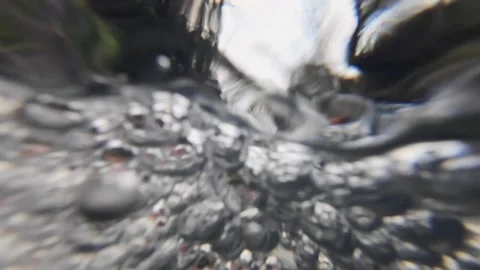 Water bubbles Stock Footage 296237497