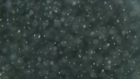 Water bubbles in glass, macro Stock Footage 138214513