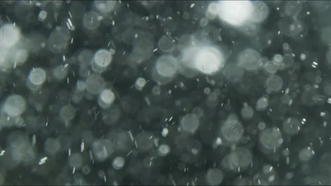 Water bubbles in glass, macro Stock Footage 138214546