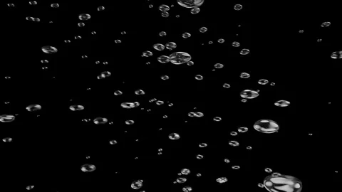 Water bubbles going up on black, white background and on Green Screen.  스톡 동영상 265123693