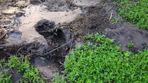 Water Bubbles Up From Ground Stock Footage 66906539