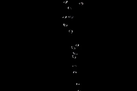 Water bubbles isolate on black background. Stock Photos
