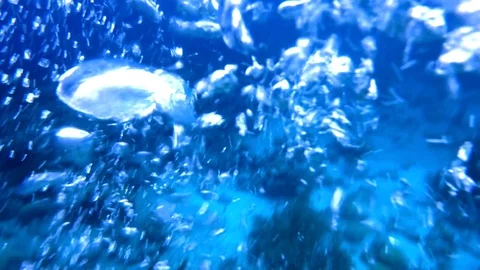 Water bubbles raising 2 Stock Footage 77629723