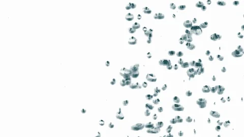 Water bubbles rising up on isolated white background. Macro footage. Stock Footage 106519310