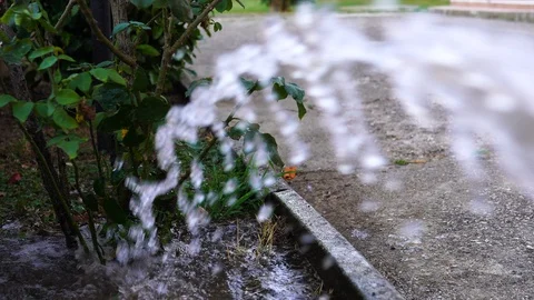 Water bubbles splashing from hose sprinker in garden. Plants watering concept Stock Footage 114006080