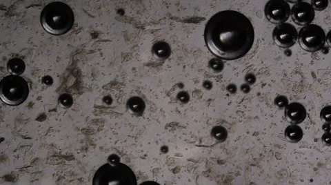 Water bubbles under the microscope Stock Footage 62454635