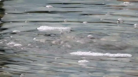 Water bubbles up from water under pond surface Video stock 104722945