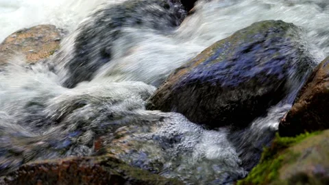 Water bubbling between the stones Stock Footage 159686472