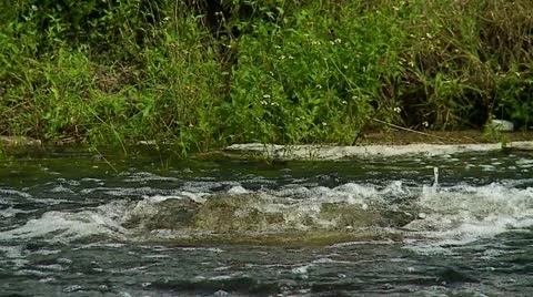 Water Bubbling in Canal(Tight) Stock Footage 11887129