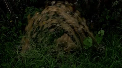 Water bursts from pipe, symbolizing infrastructure breakdown. Close up of pipe b Stock-Footage 275876663