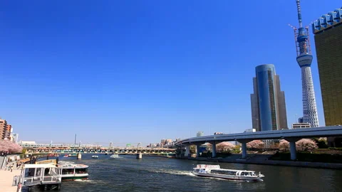 Water Bus, Cherry Blossoms, Sumida River, and Tokyo Skytree Vídeo Stock 330261051