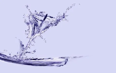 Water Calla Lily Stock Illustration