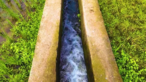 Water Canal - Foam Stock Footage 262209206