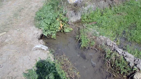 Water canal Stock Footage 315121239