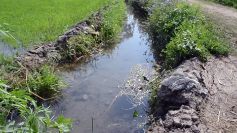 Water canal Stock Footage 315126631