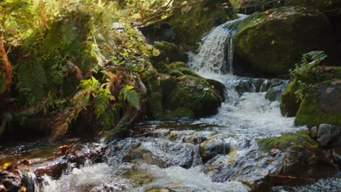 Water cascade is falling down from the hill. mountain brook flows and splashes Stock Footage 204050918