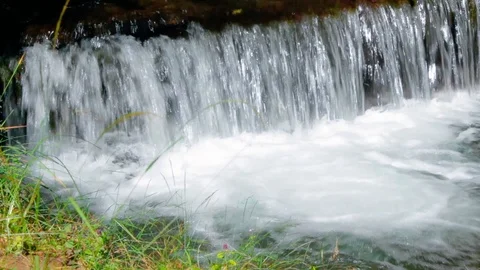 Water cascade in the forest among the grass Stock Footage 127344403