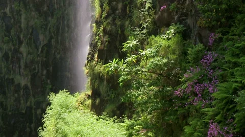 Water cascade, Risco Waterfall, nature, Madeira Stock Footage 32594059