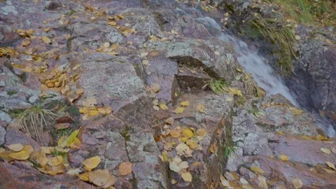 Water cascade running down a steep woodland with rocks in a park in Scotland. Stock Footage 99936052