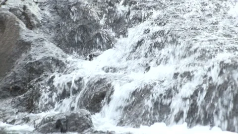 Water cascades and flows over river rocks Stock Footage 236477281