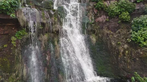 Water cascades down mossy rock face with vibrant greenery 库存影片 342929435