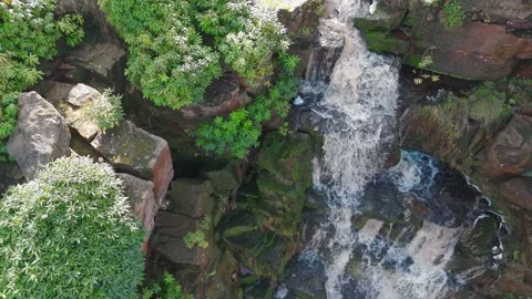 Water cascades down mossy rocks with lush greenery 스톡 동영상 342938666