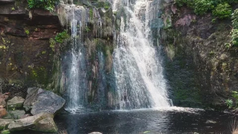 Water cascades down mossy rocks in a natural cascade 库存影片 342939142