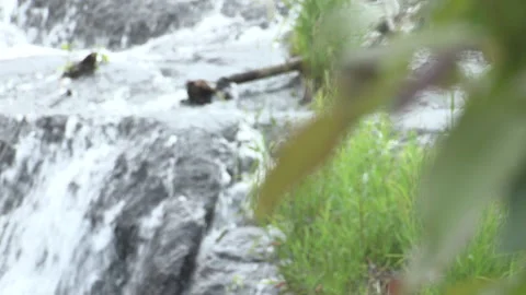 Water cascades over rocks Stock Footage 236478376