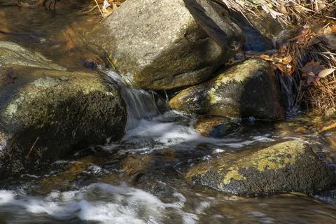 Water cascading  between rocks  in a small brook in new england Stock Photos