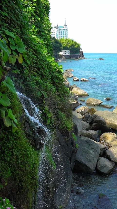 Water cascading down lush cliffside by the ocean Stock Footage 283362258