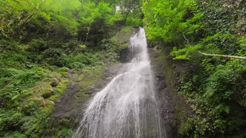 Water cascading down lush green cliff face Stock Footage 286309251