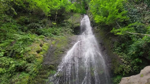 Water cascading down lush green cliff face Stock Footage 286309281